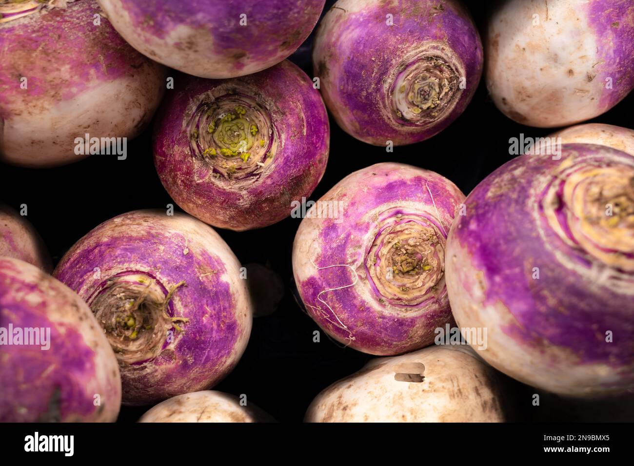 Close up of turnip in a pile at the vegetable market Stock Photo