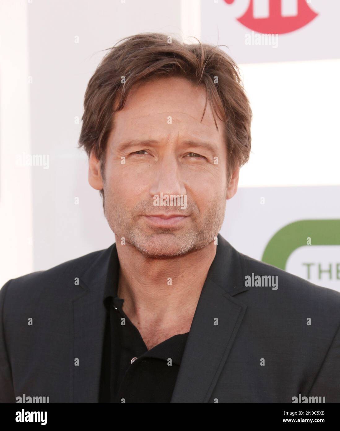 David Duchovny attends the CBS, Showtime and The CW 2012 TCA summer