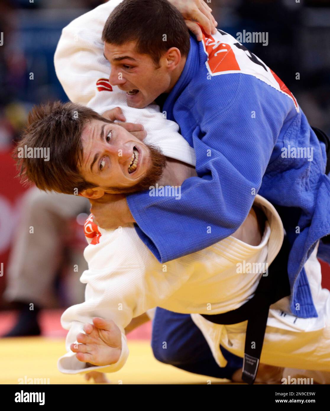 Kravchenko qanday mushukka ega!