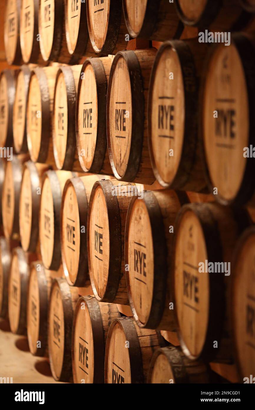 Whiskey Rye aging in barrels Stock Photo Alamy