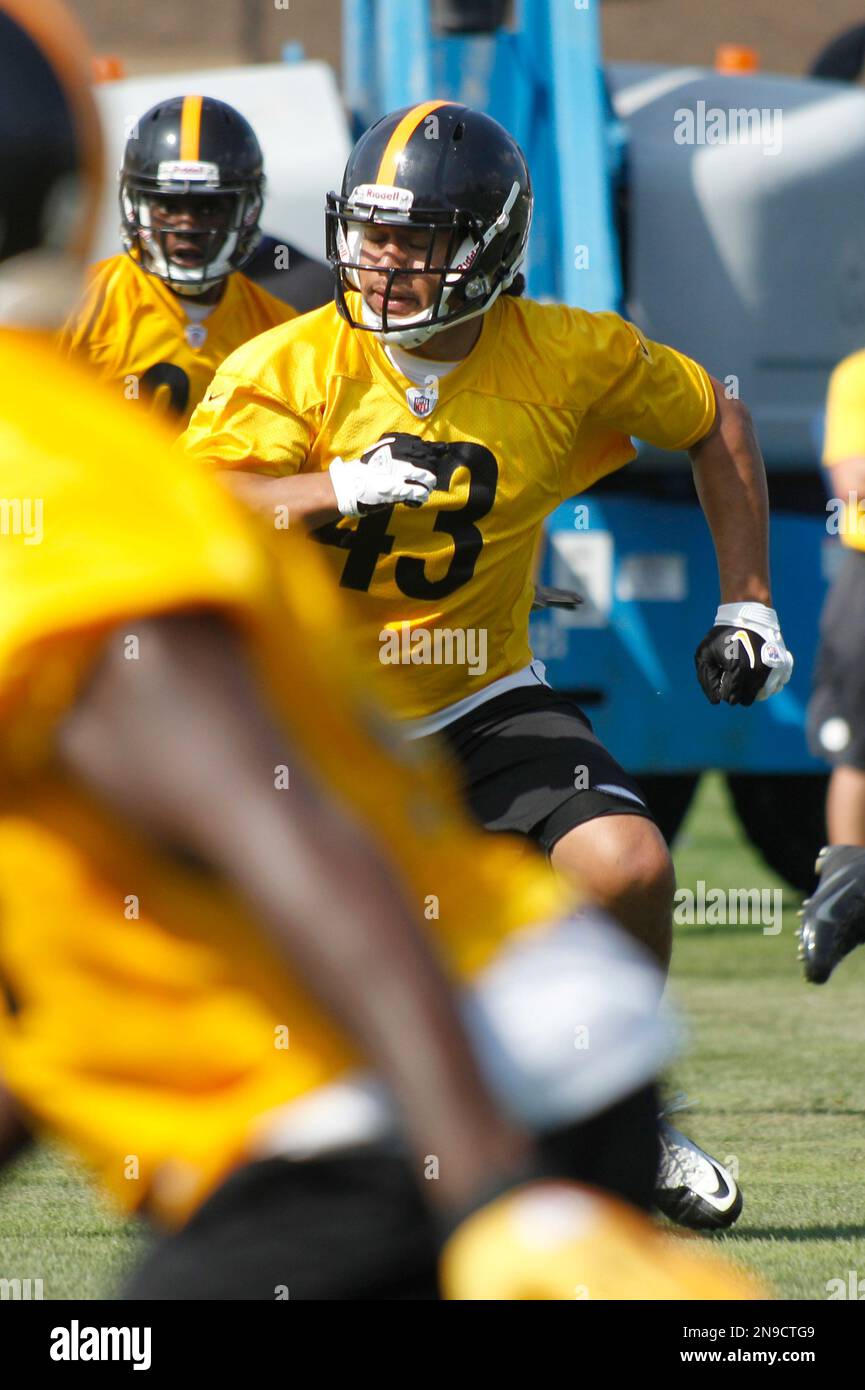 Pittsburgh Steelers defensive back Troy Polamalu (43) warms up prior to a  game against the Minnesota Vikings at Heinz field in Pittsburgh PA.  Pittsburgh won the game 27-17. (Credit Image: © Mark