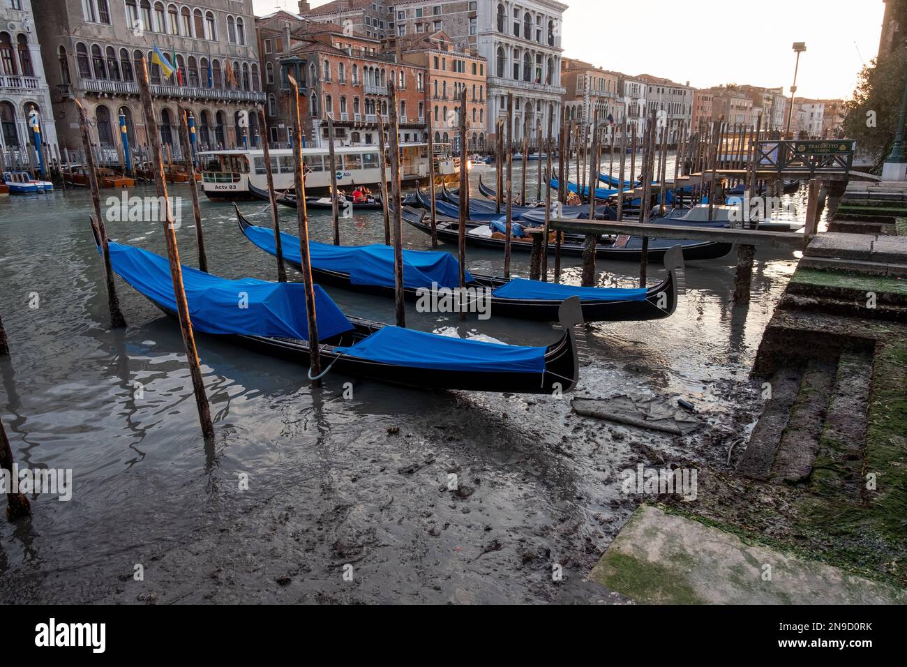 Low tide in Venice Stock Photo Alamy