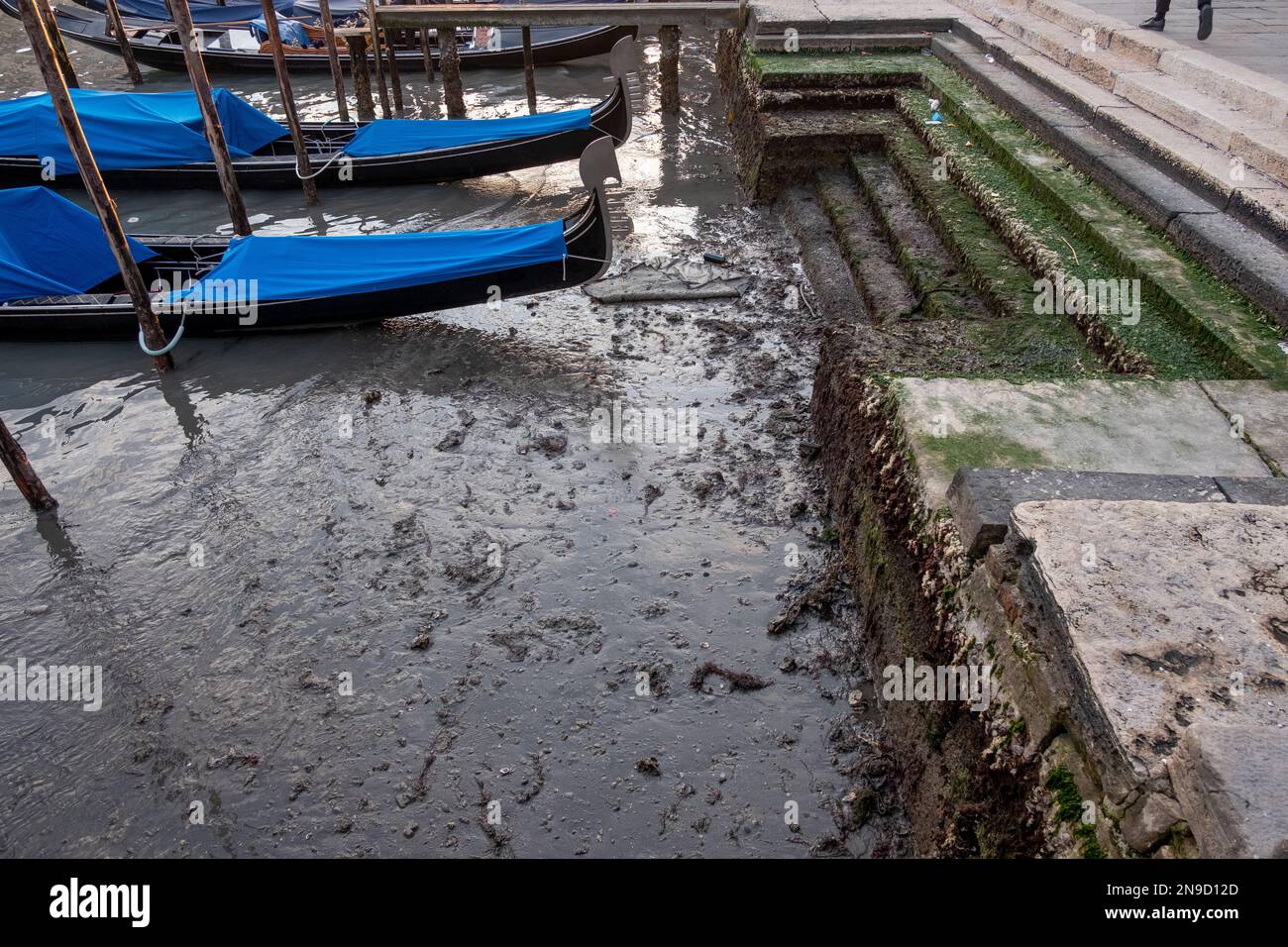 Low tide in Venice Stock Photo Alamy