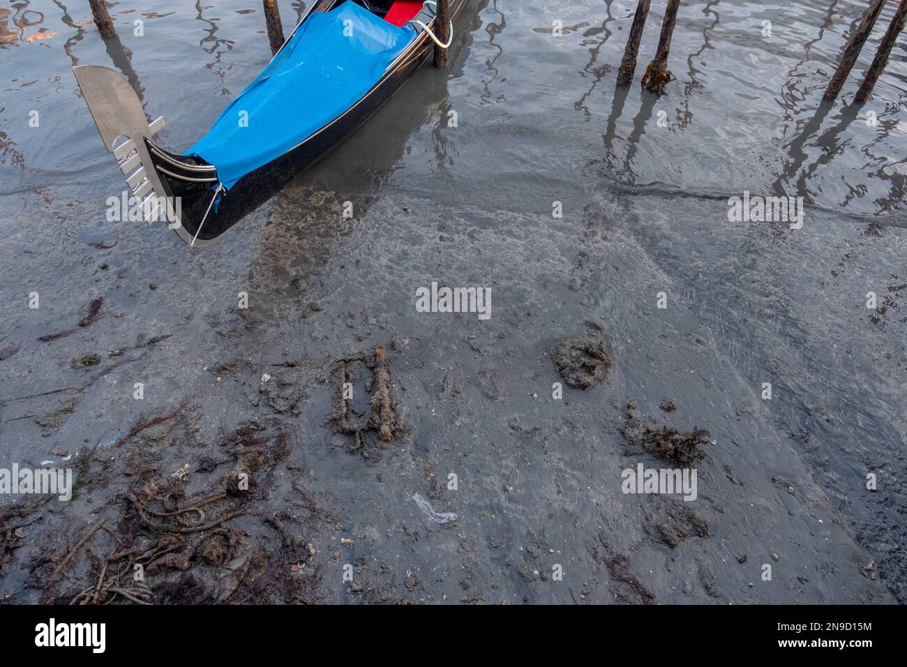 Low tide in Venice Stock Photo Alamy