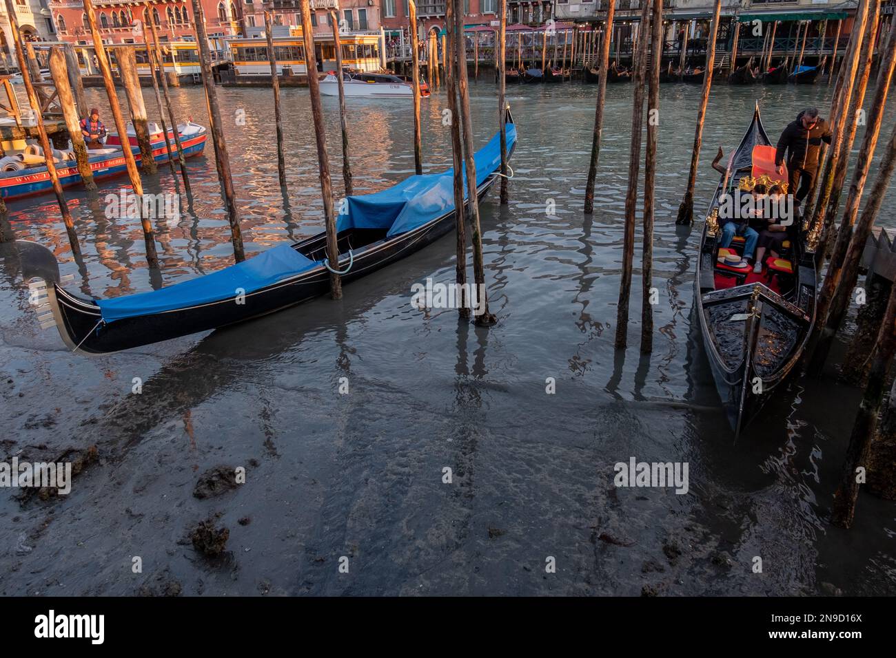 Low tide in Venice Stock Photo Alamy