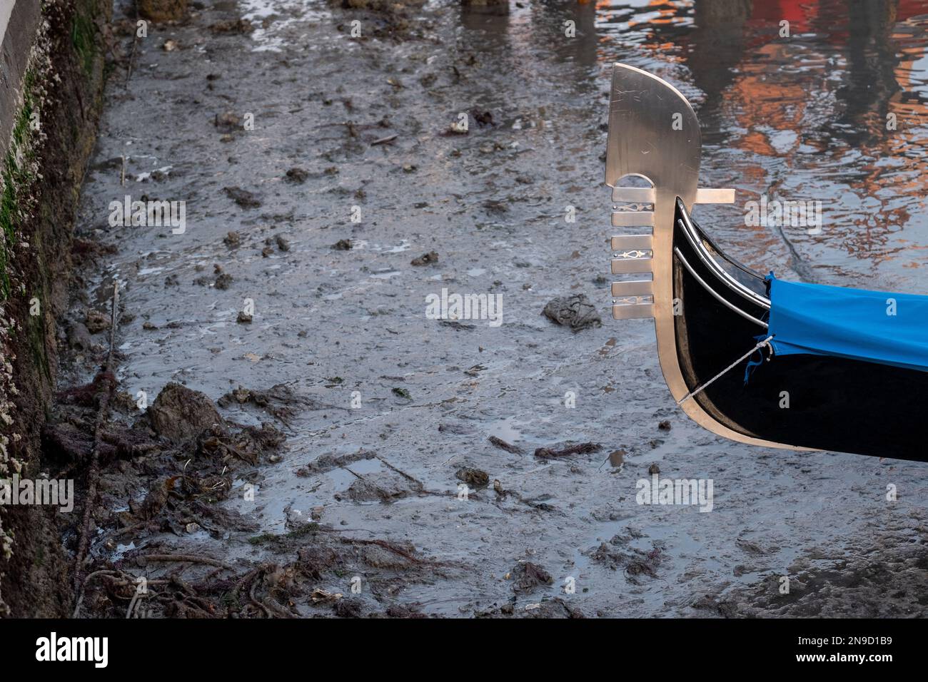 Low tide in Venice Stock Photo Alamy