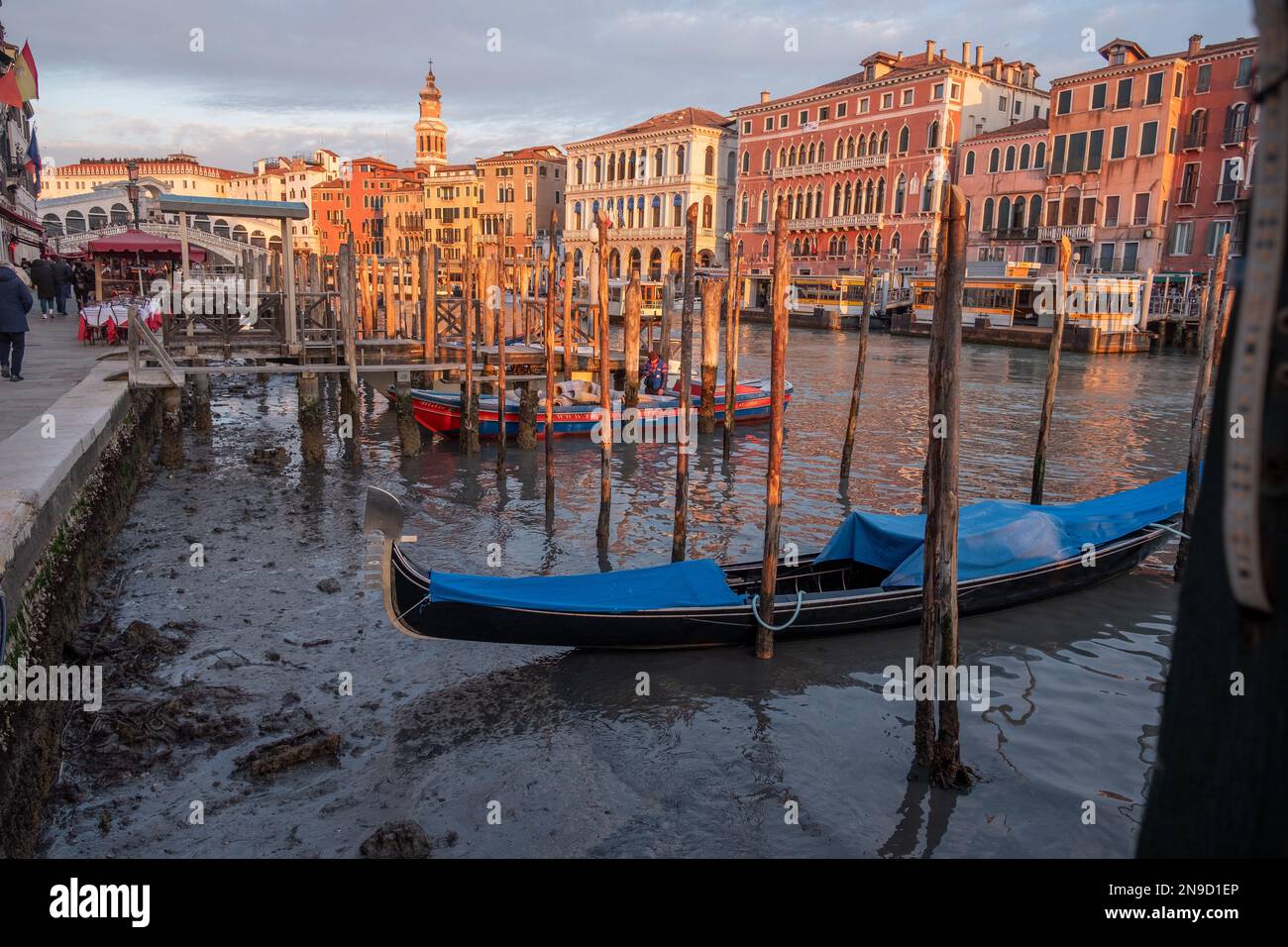 Low tide in Venice Stock Photo Alamy