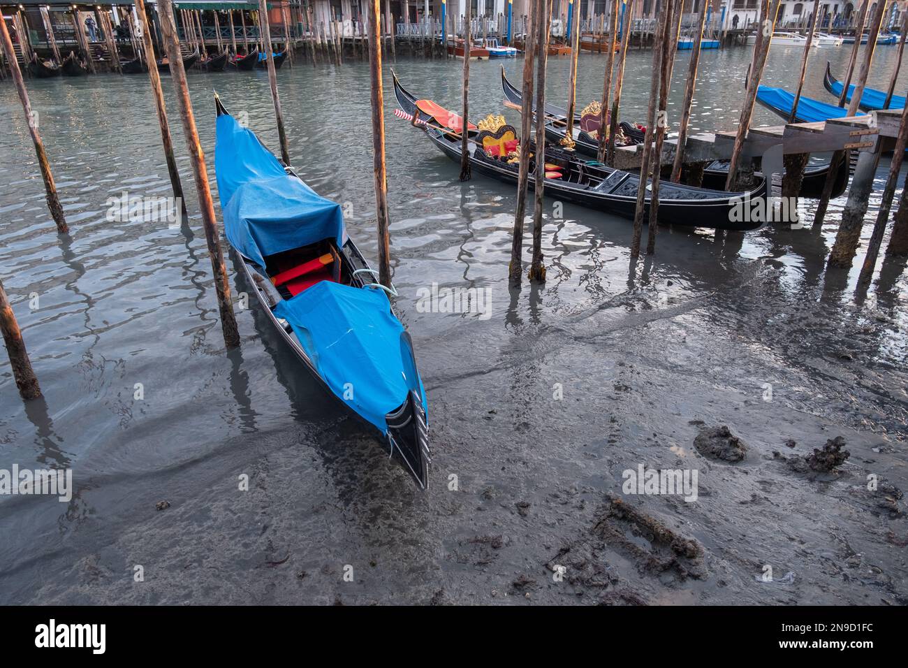 Low tide in Venice Stock Photo Alamy