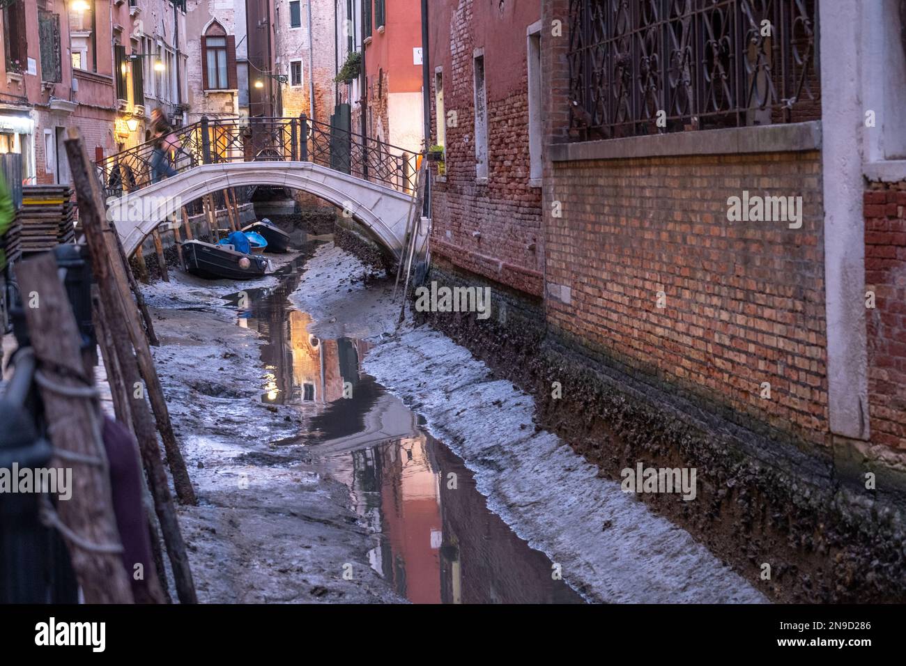 Low tide in Venice Stock Photo Alamy