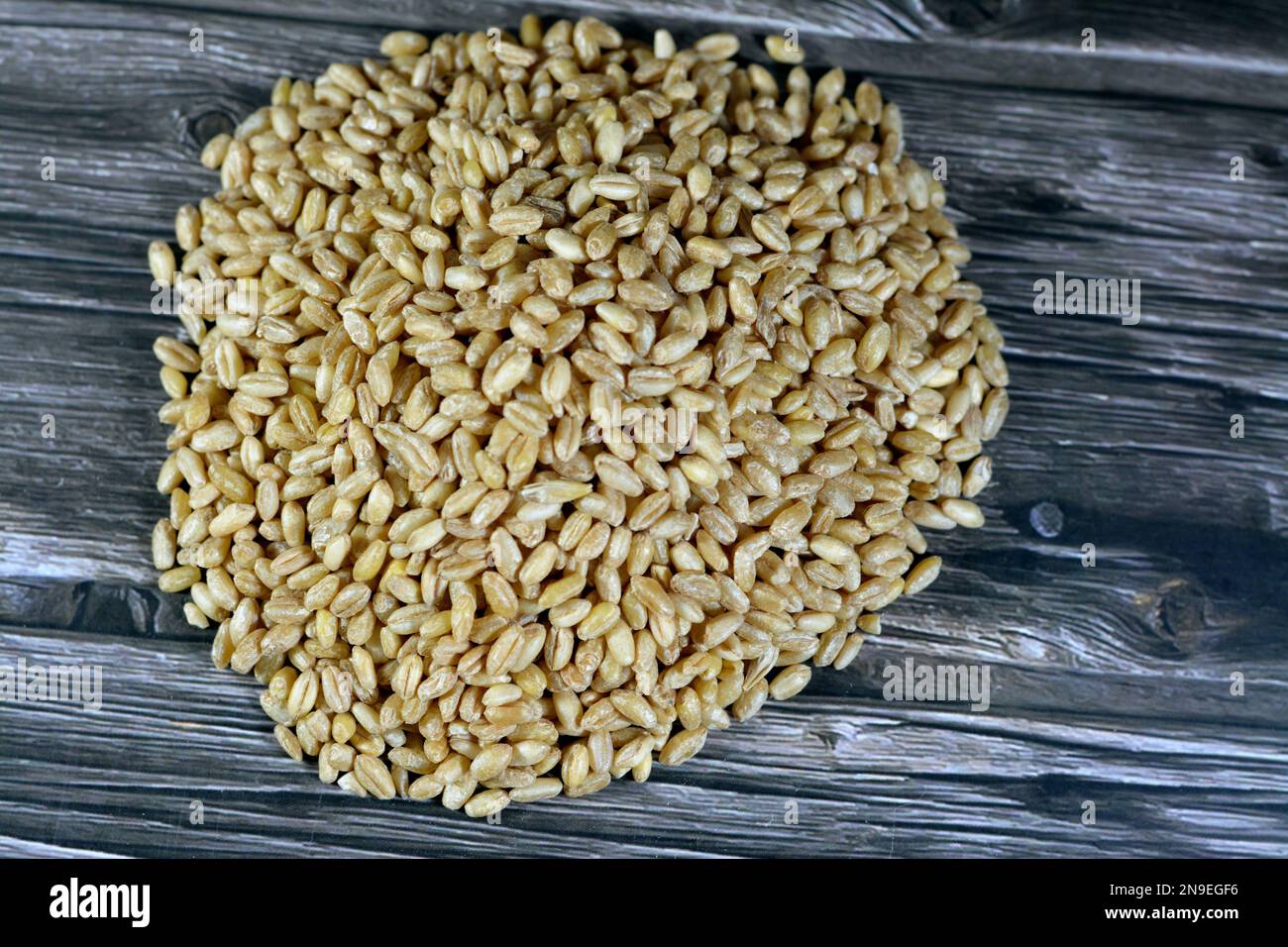 Wheat grains and seeds, grass widely cultivated for its seed, a cereal