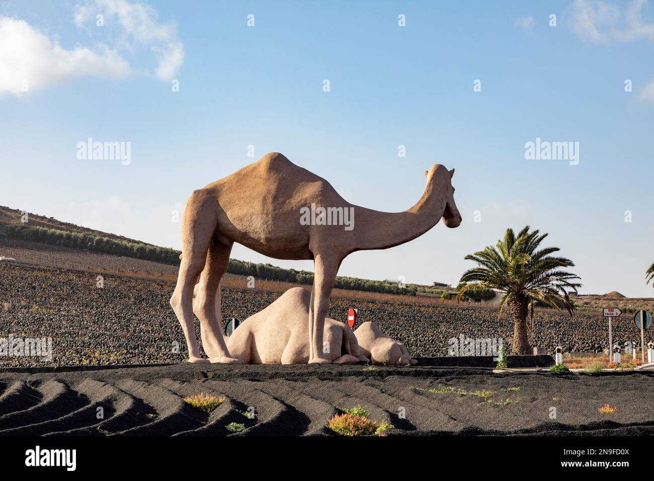Uga, Spain- February 1, 2023: statue of Camels at a roundabout near ...