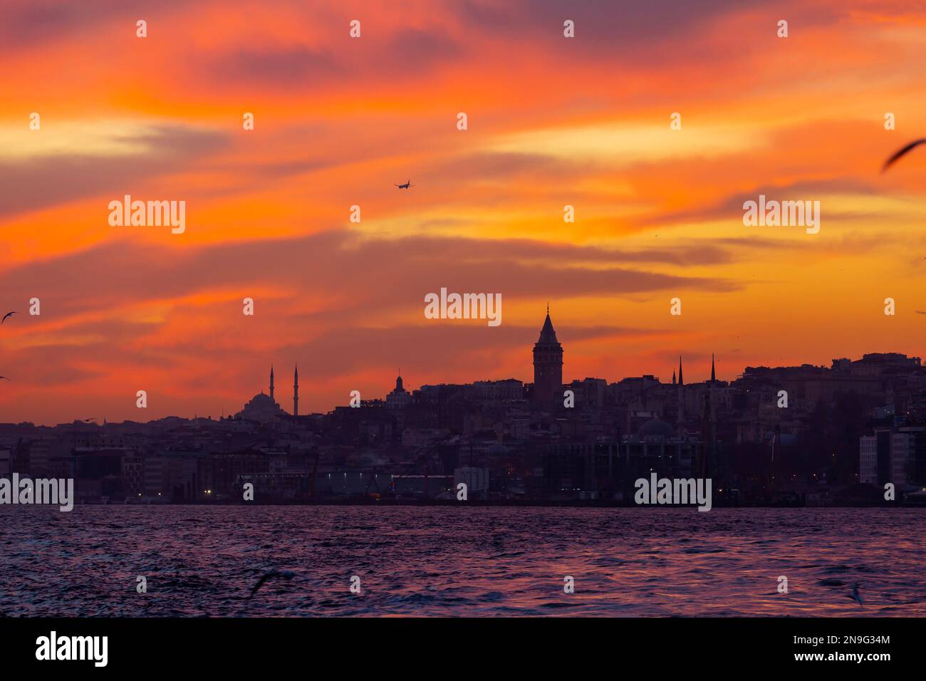 Galata Tower and Maiden's Tower view with Bosphorus tour in Istanbul