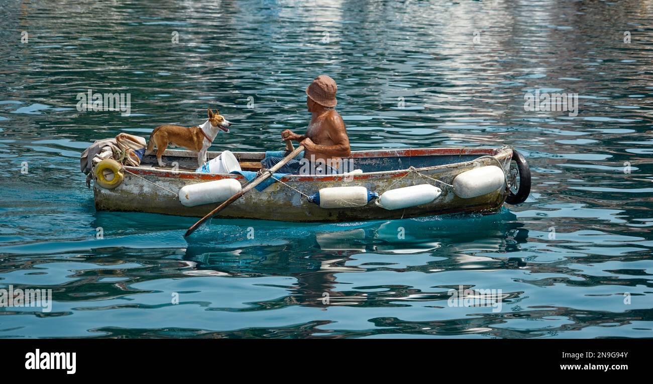 A man rowing a boat with a dog in it Stock Photo - Alamy