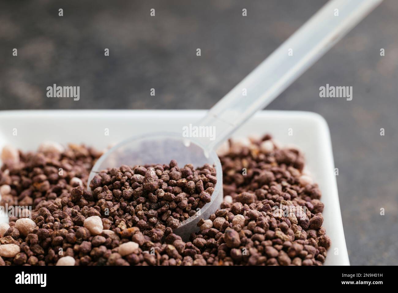 Organic NPK fertiliser for herbs and seedlings with a measuring spoon Stock Photo