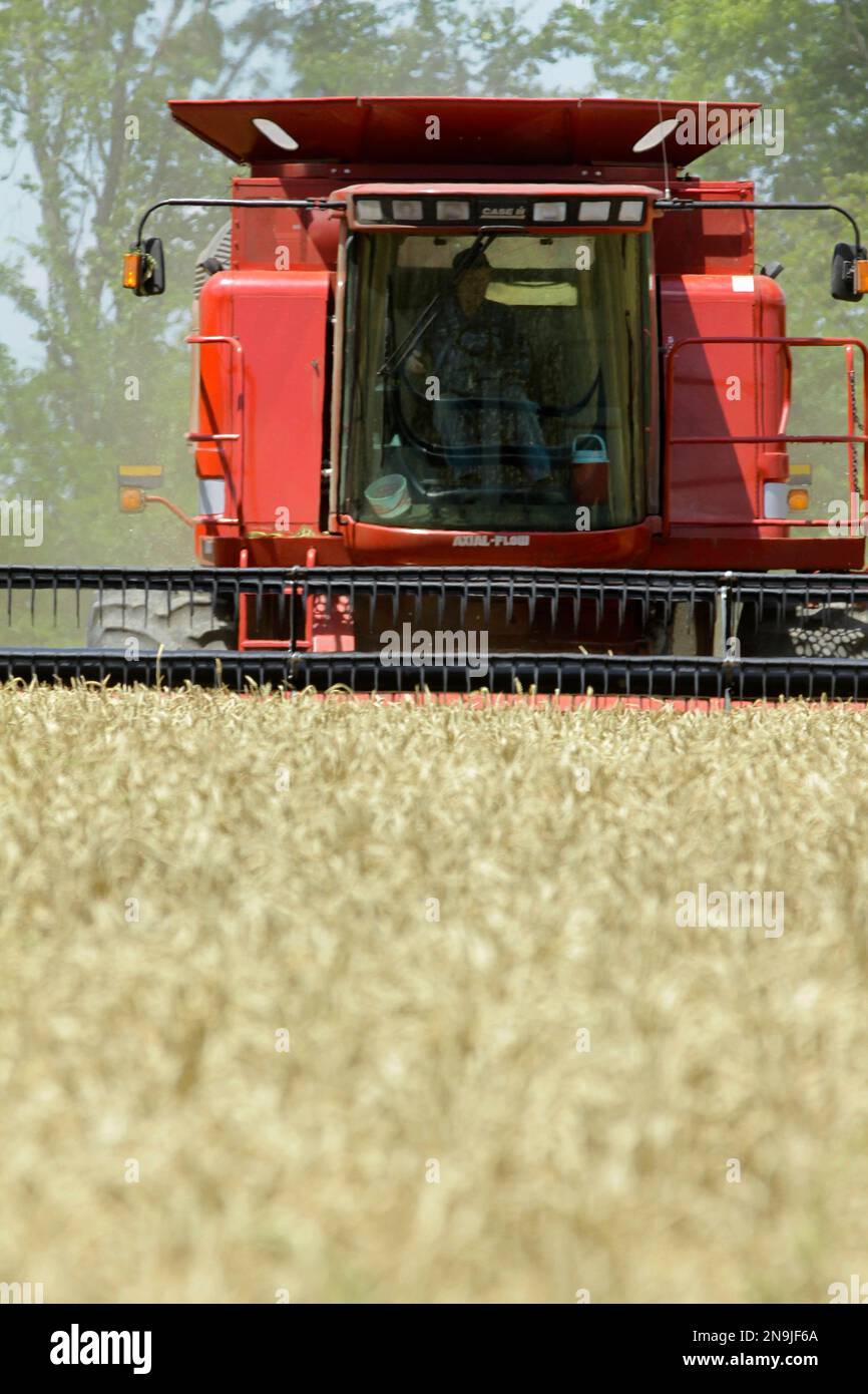 Central Illinois farmer Jacob Hermes uses a combine to harvest his