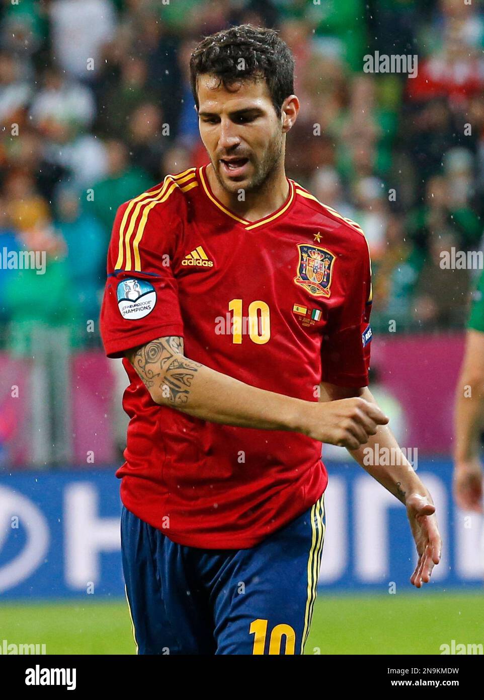 205★サッカー★francesc fabregas★prostars 205☆サッカー☆francesc fabregas☆prostars