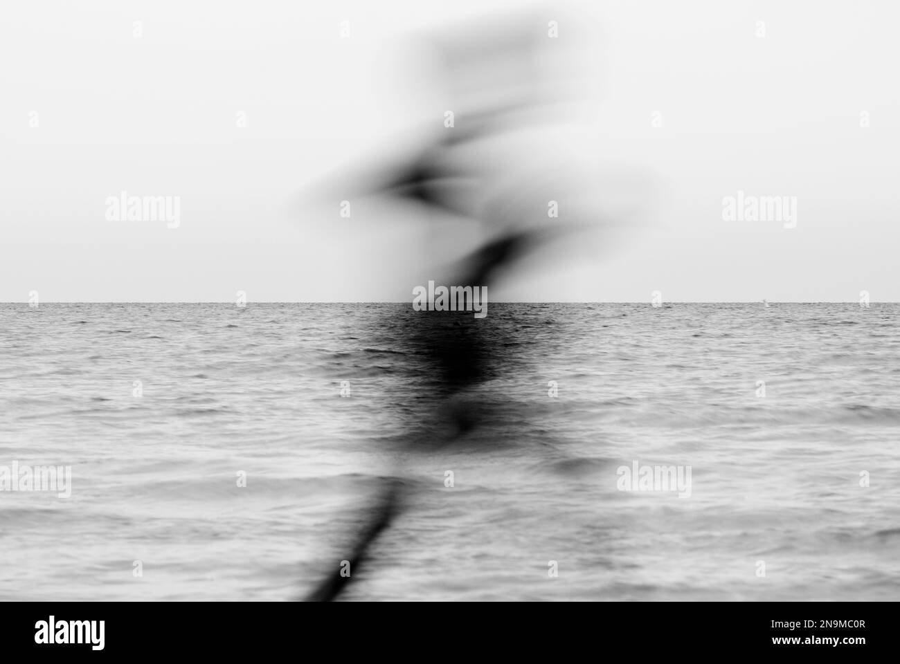 Concept of a human walking near the sea Stock Photo