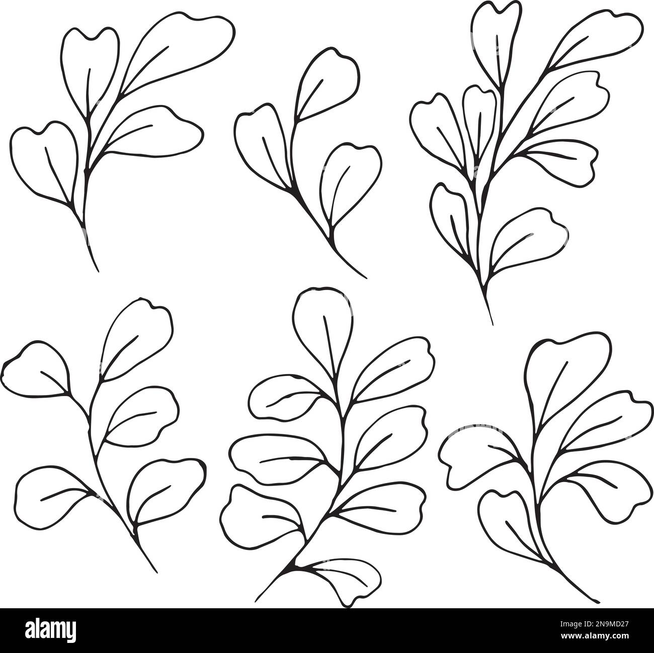 Set of graphic vector plant branches with leaves and flowers Stock ...