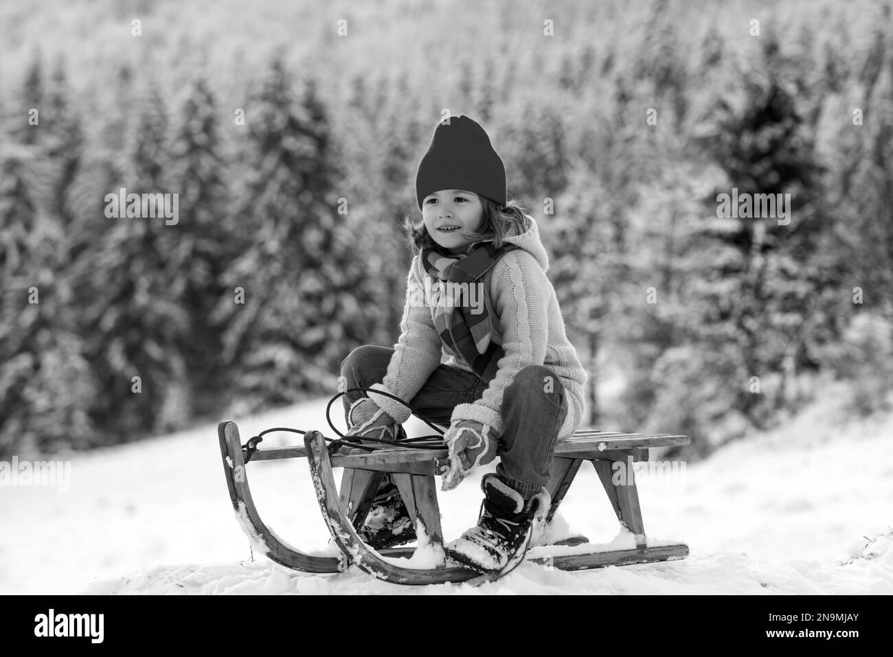 Winter child sliding on a sled in snowy park. Stock Photo