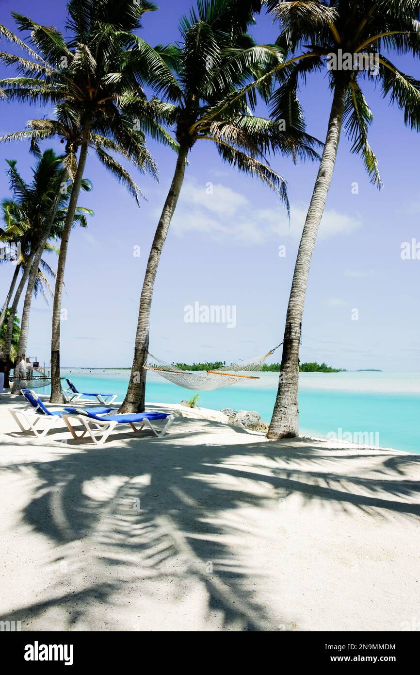 Hammock slung between tall swaying palms in shade by waters edge on Aitutaki Island in South Pacific. Stock Photo