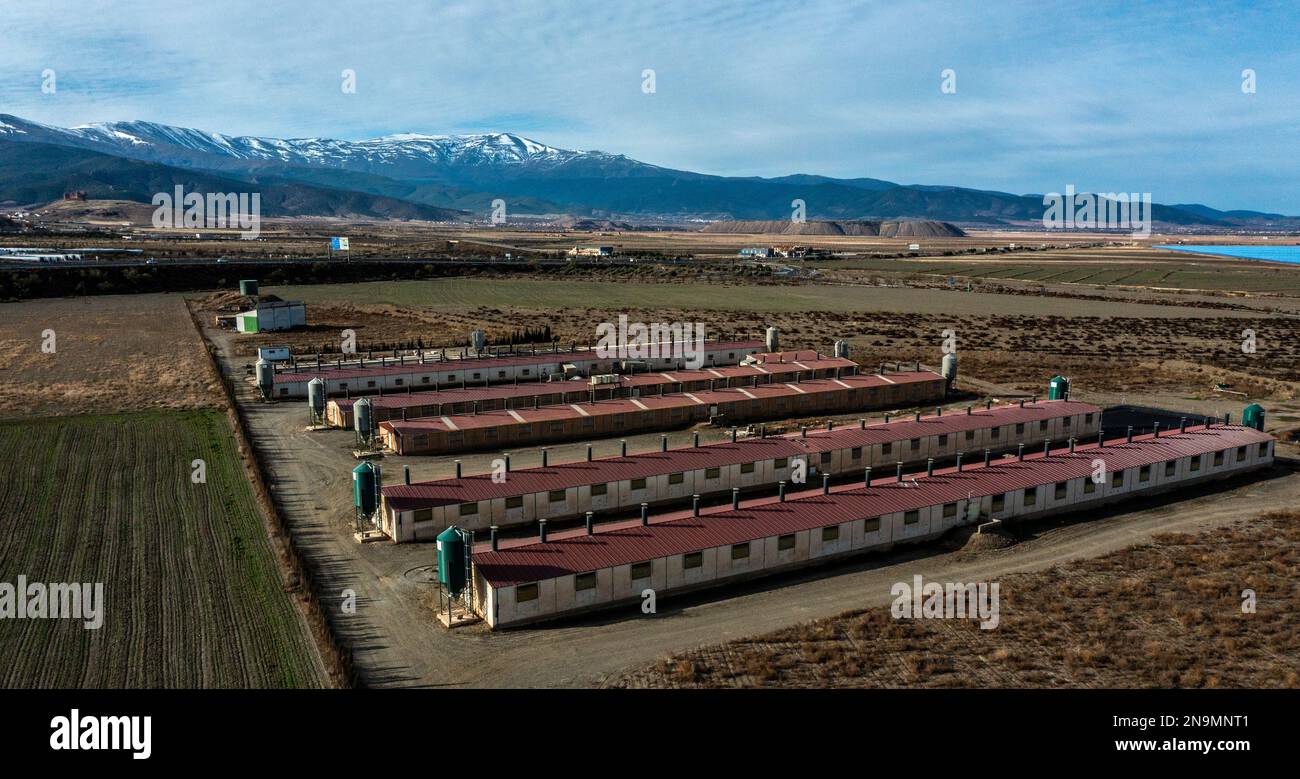 aerial view of piggery  farm houses in Andalusia Spain Stock Photo
