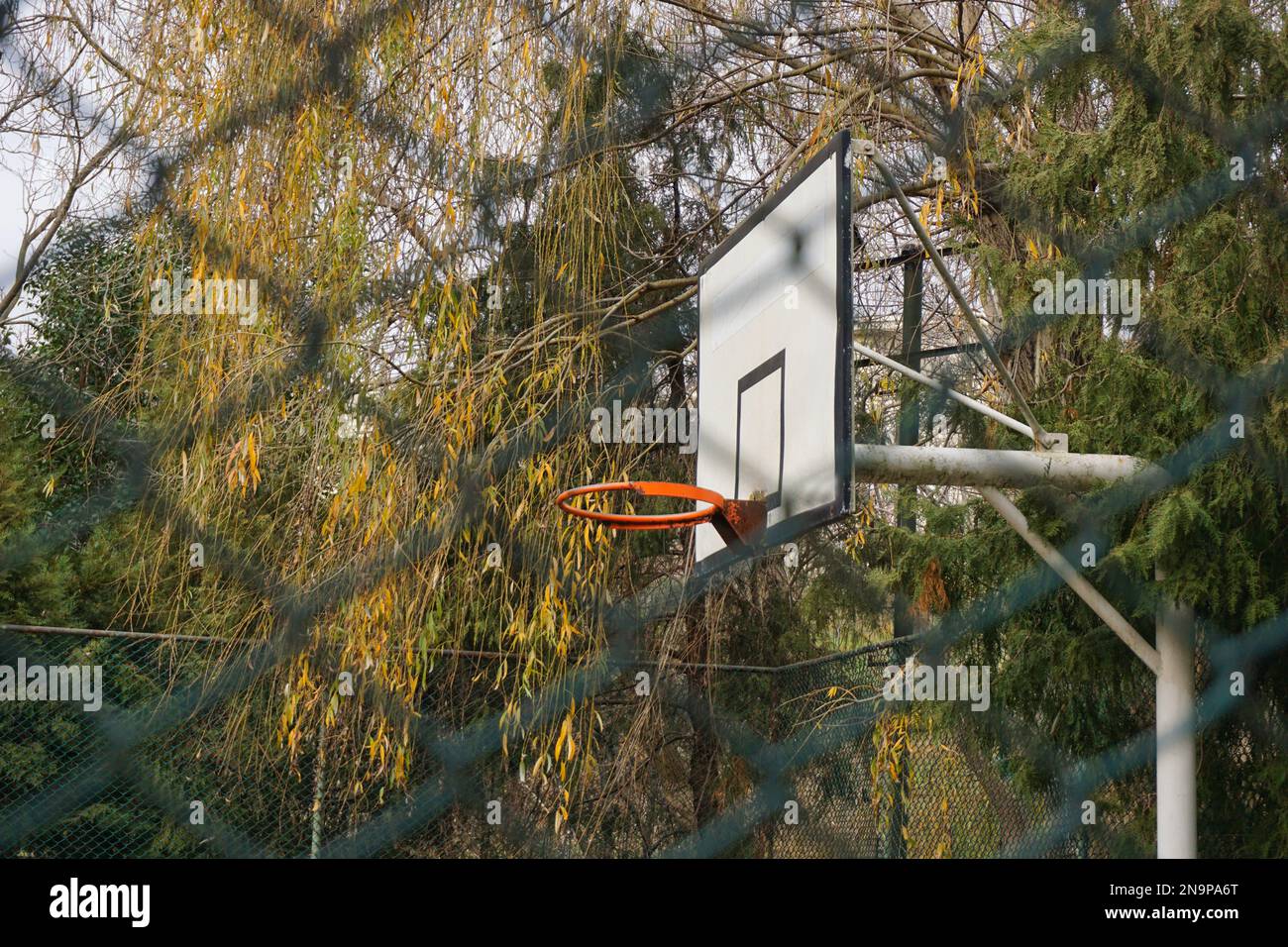 basketball hoop, outdoors behind the wires and among the trees Stock Photo