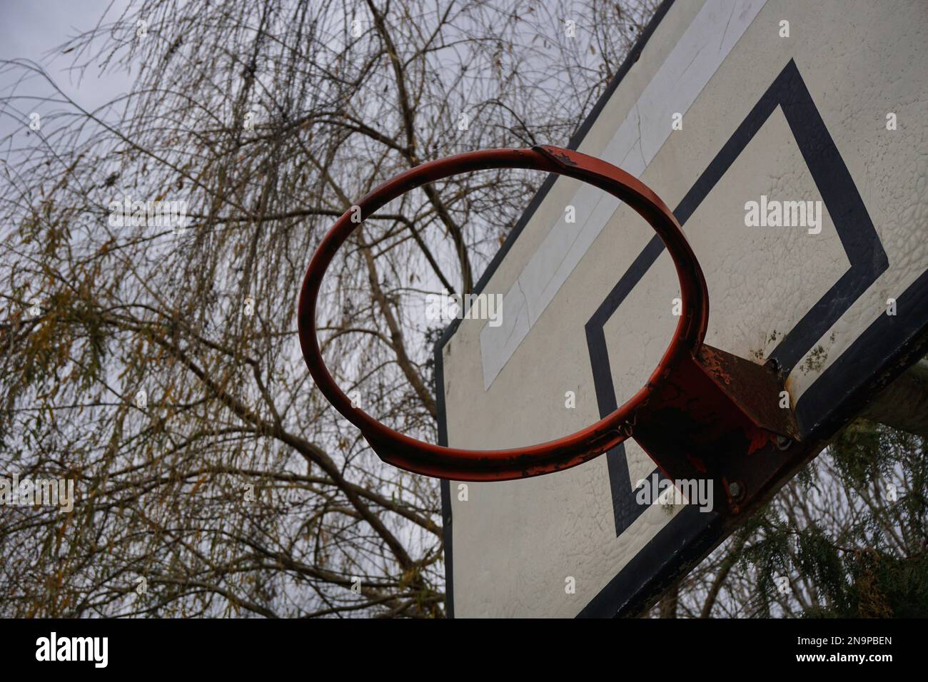 closeup basketball hoop, low angle backdrop of dry tree branches Stock