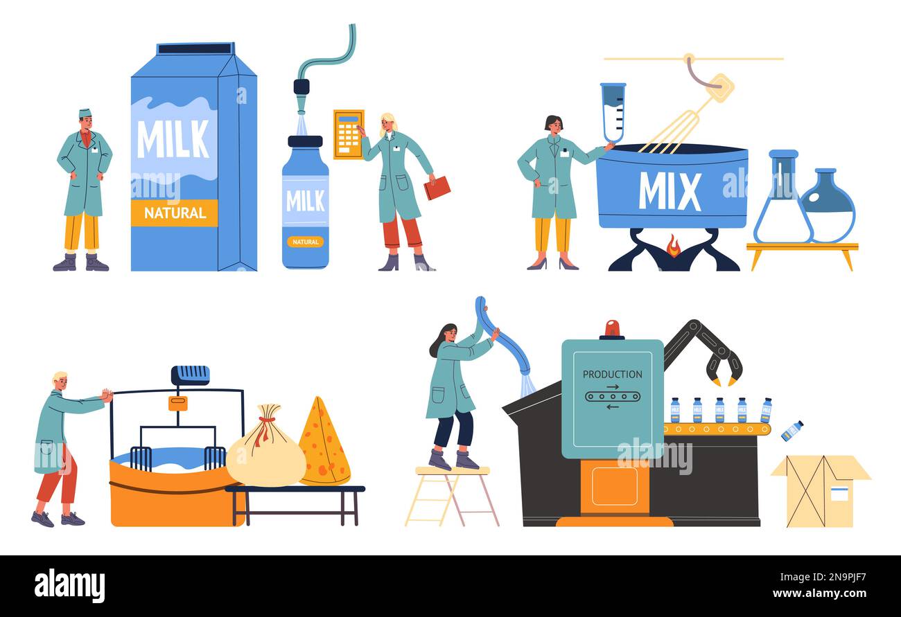 Dairy production industry. Milk processing scenes. Cheese factory