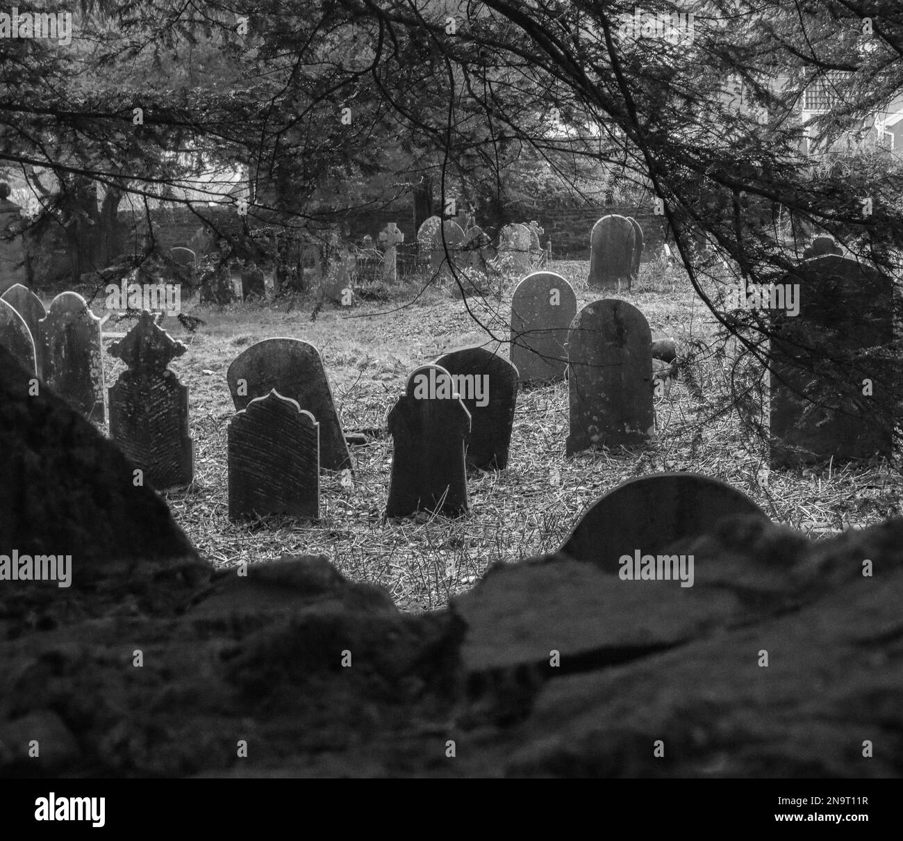 The black and white graves in an Abandoned cemetery in Mountain Ash