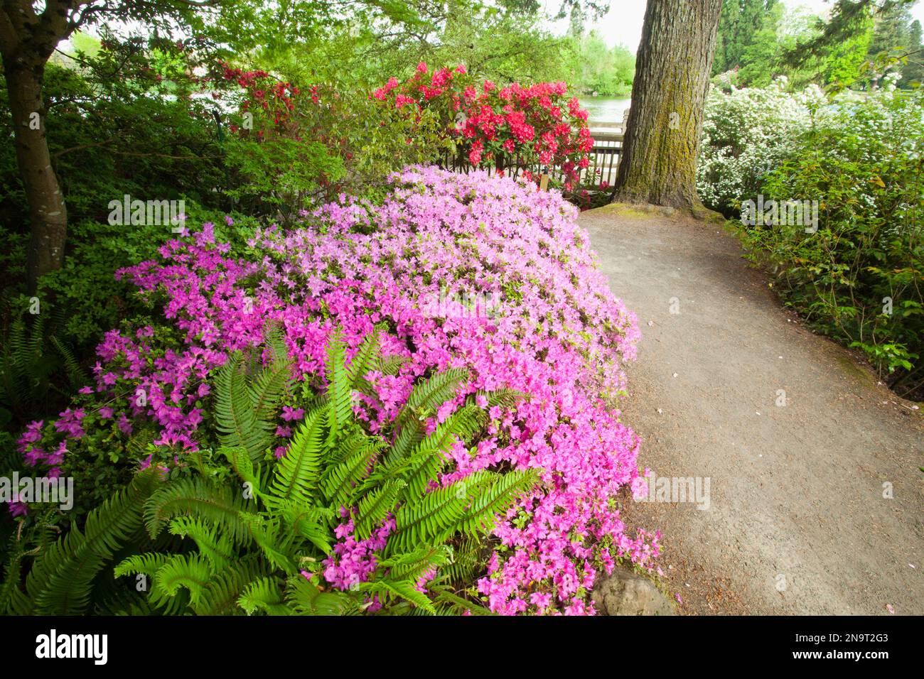 Beautiful blossoming plants in the gardens of Crystal Springs