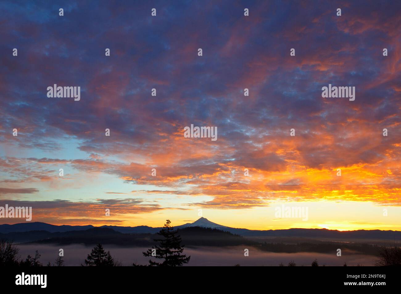 Dramatic glowing clouds over a silhouetted Mount Hood at sunrise; Oregon, United States of America Stock Photo