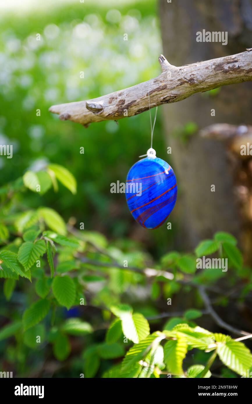 Painted easter egg hanging from a tree in the forest Stock Photo Alamy
