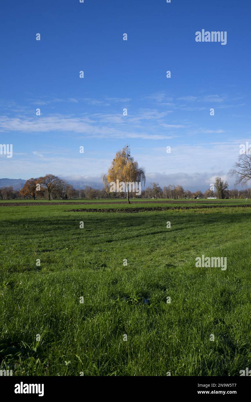 View onto the wide fields of a natural reserve Stock Photo Alamy