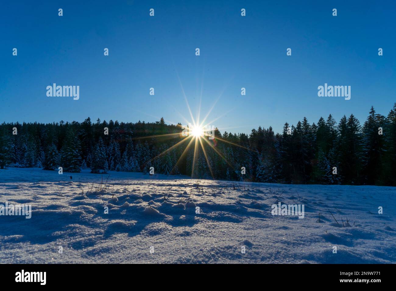 Last sunbeams of the day shine through treetops onto a snowfield Stock Photo