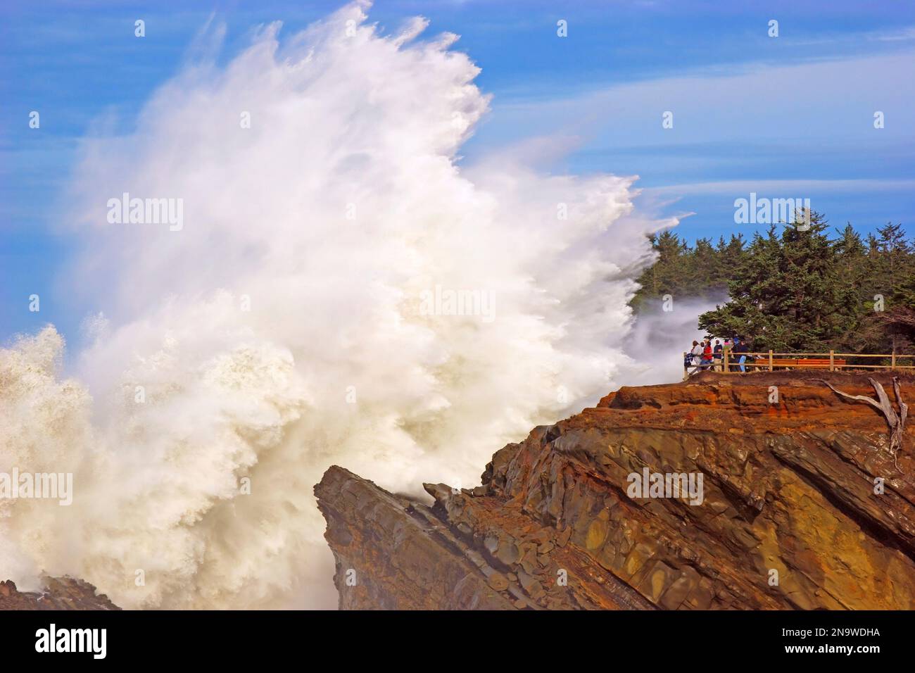 Powerful wave breaking against the rocks at Shore Acres State Park as ...