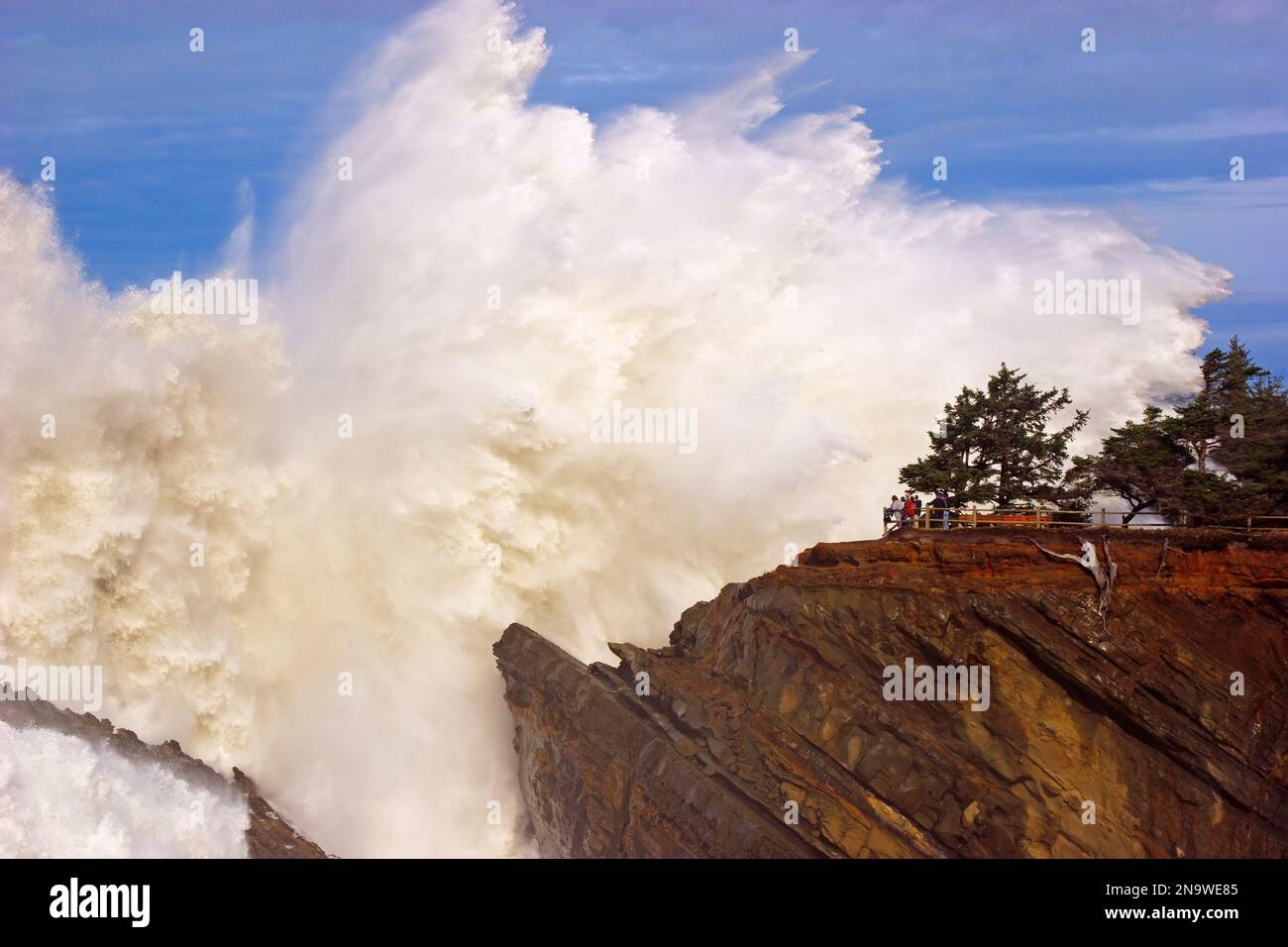 Powerful wave breaking against the rocks at Shore Acres State Park as ...