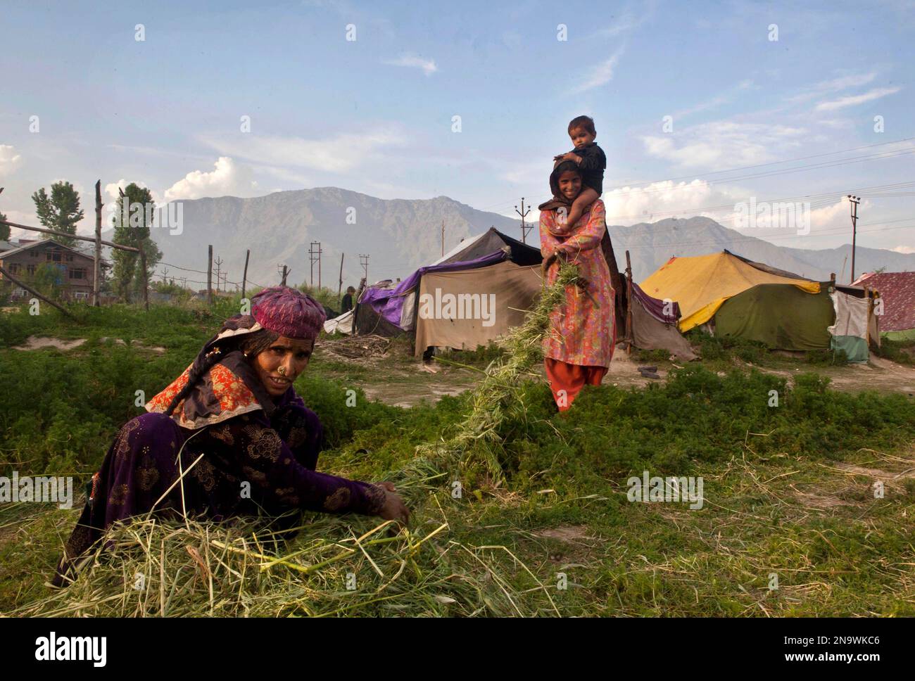 Kashmiri Bakarwal Nomads, Make A Rope With Grass Outside Their ...