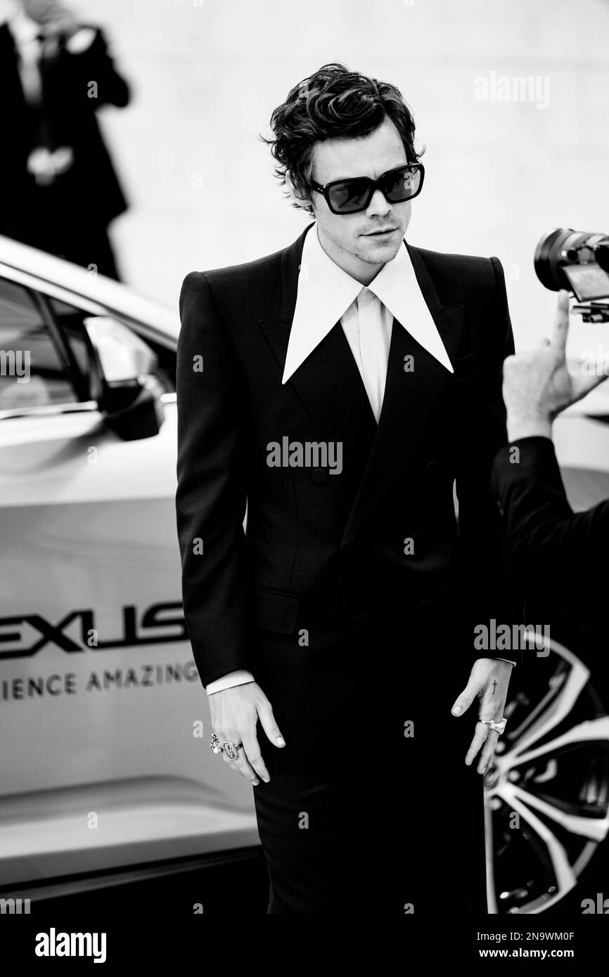 Il cast di "Don't Worry Darling" sul Red Carpet di Venezia 79, La