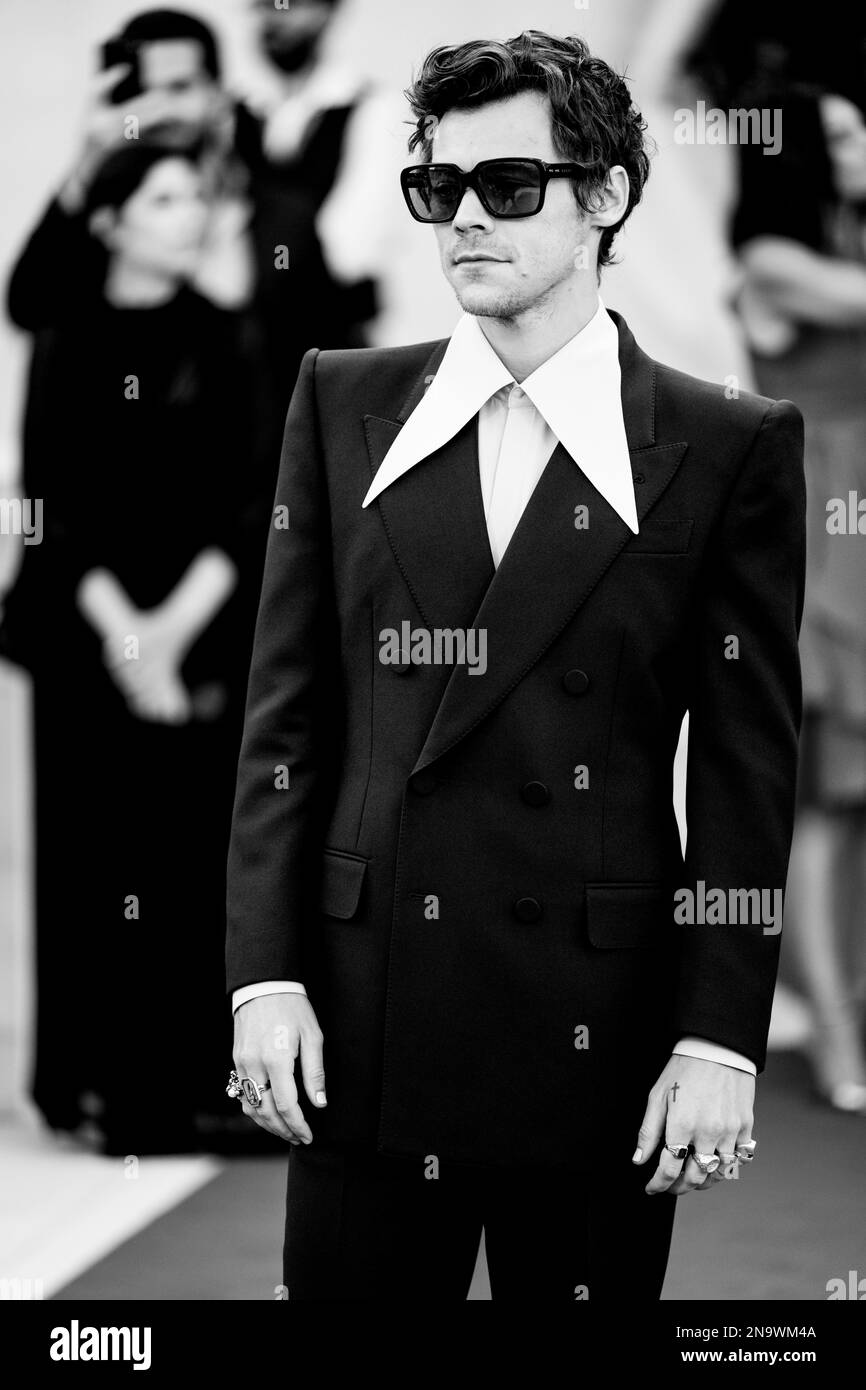 Il cast di "Don't Worry Darling" sul Red Carpet di Venezia 79, La