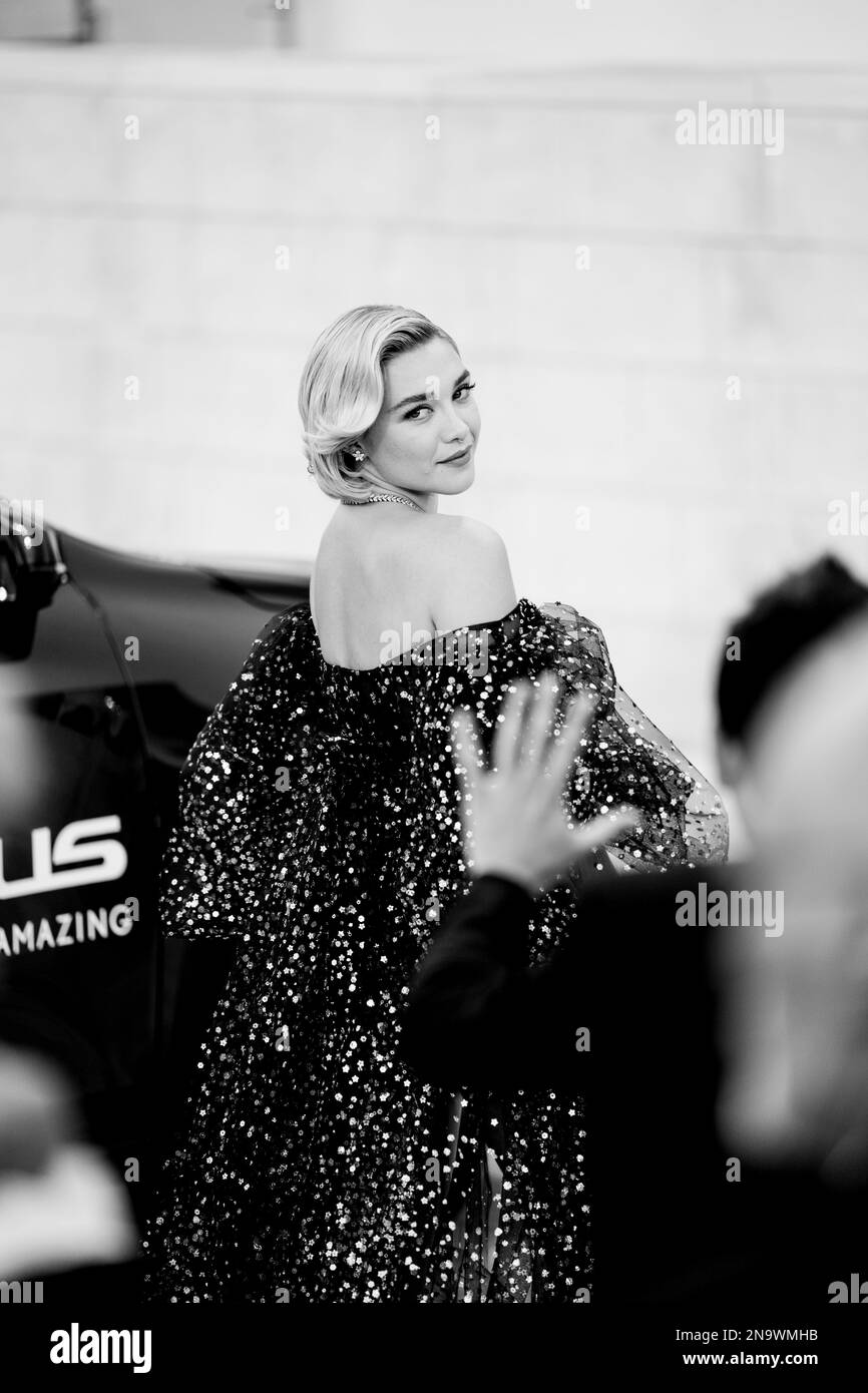 Il cast di "Don't Worry Darling" sul Red Carpet di Venezia 79, La