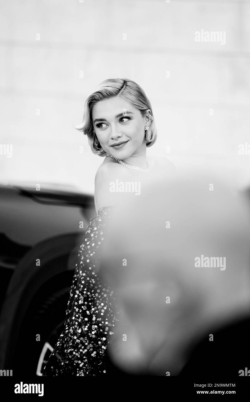 Il cast di "Don't Worry Darling" sul Red Carpet di Venezia 79, La