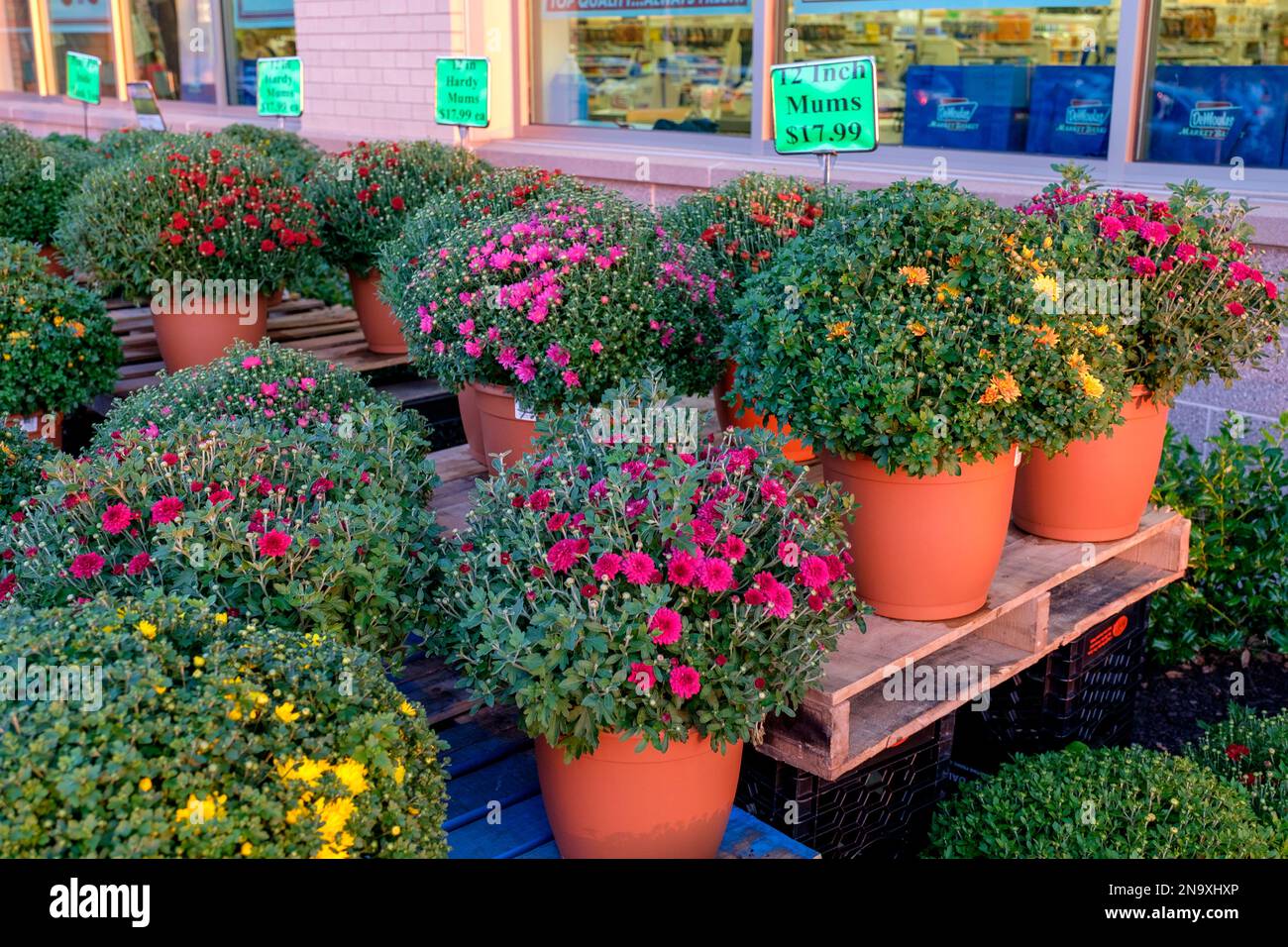 Market Basket store in the North Quabbin Commons in Athol, MA Stock
