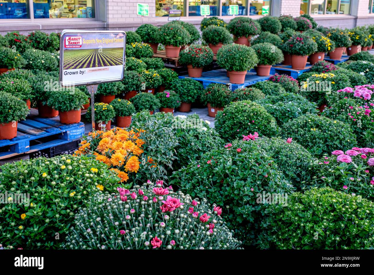 Market Basket store in the North Quabbin Commons in Athol, MA Stock Photo Alamy