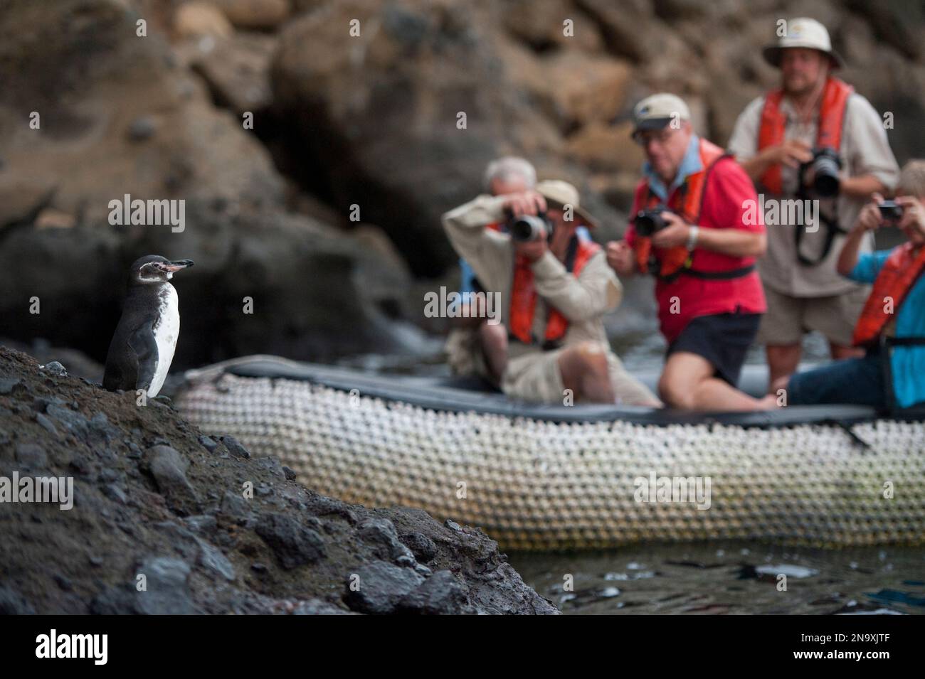 Galapagos people photograph hi-res stock photography and images - Alamy