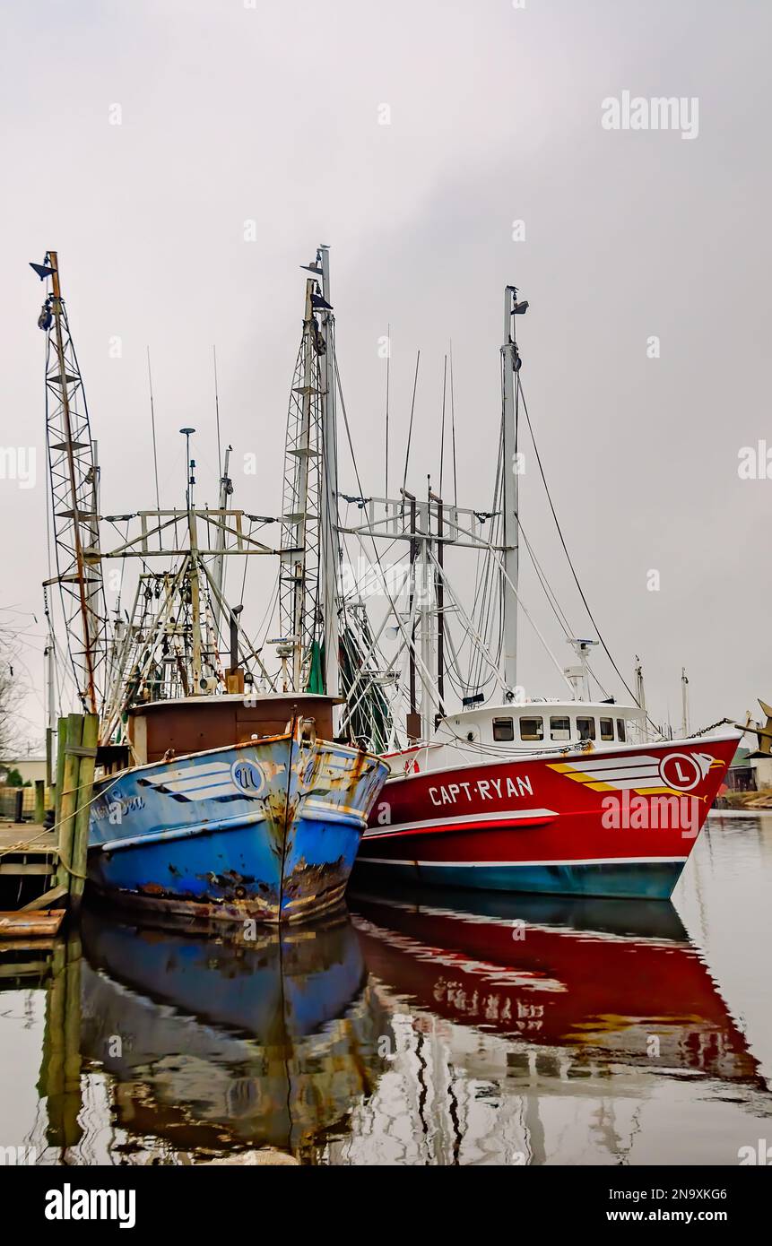 Shrimp boats are pictured, Jan. 29, 2023, in Bayou La Batre, Alabama