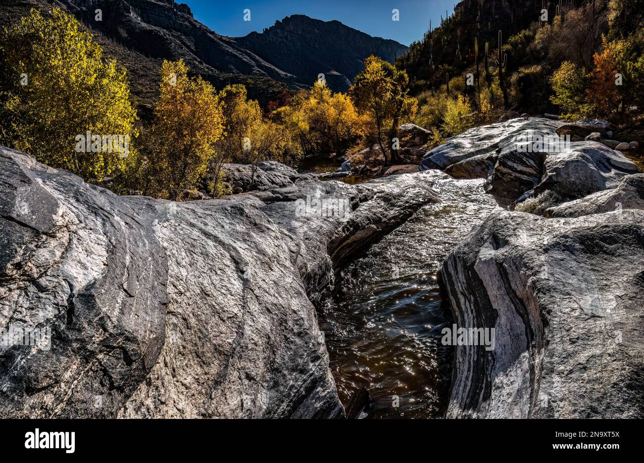 Autumn in Sabino Canyon, Tucson, AZ Stock Photo