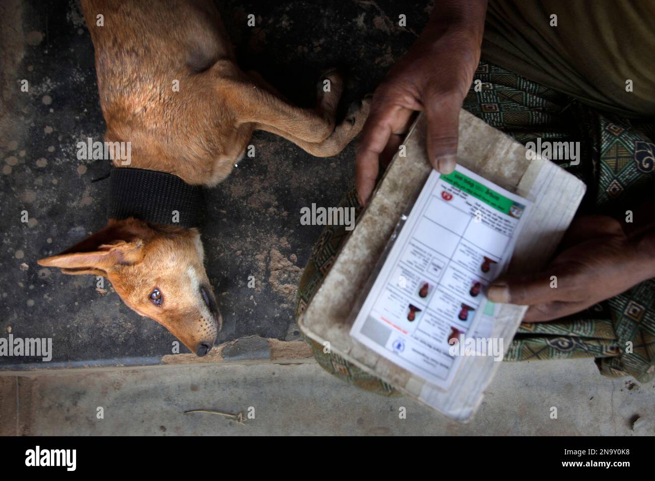 In this Wednesday, March 21, 2012 photo, a person living below the