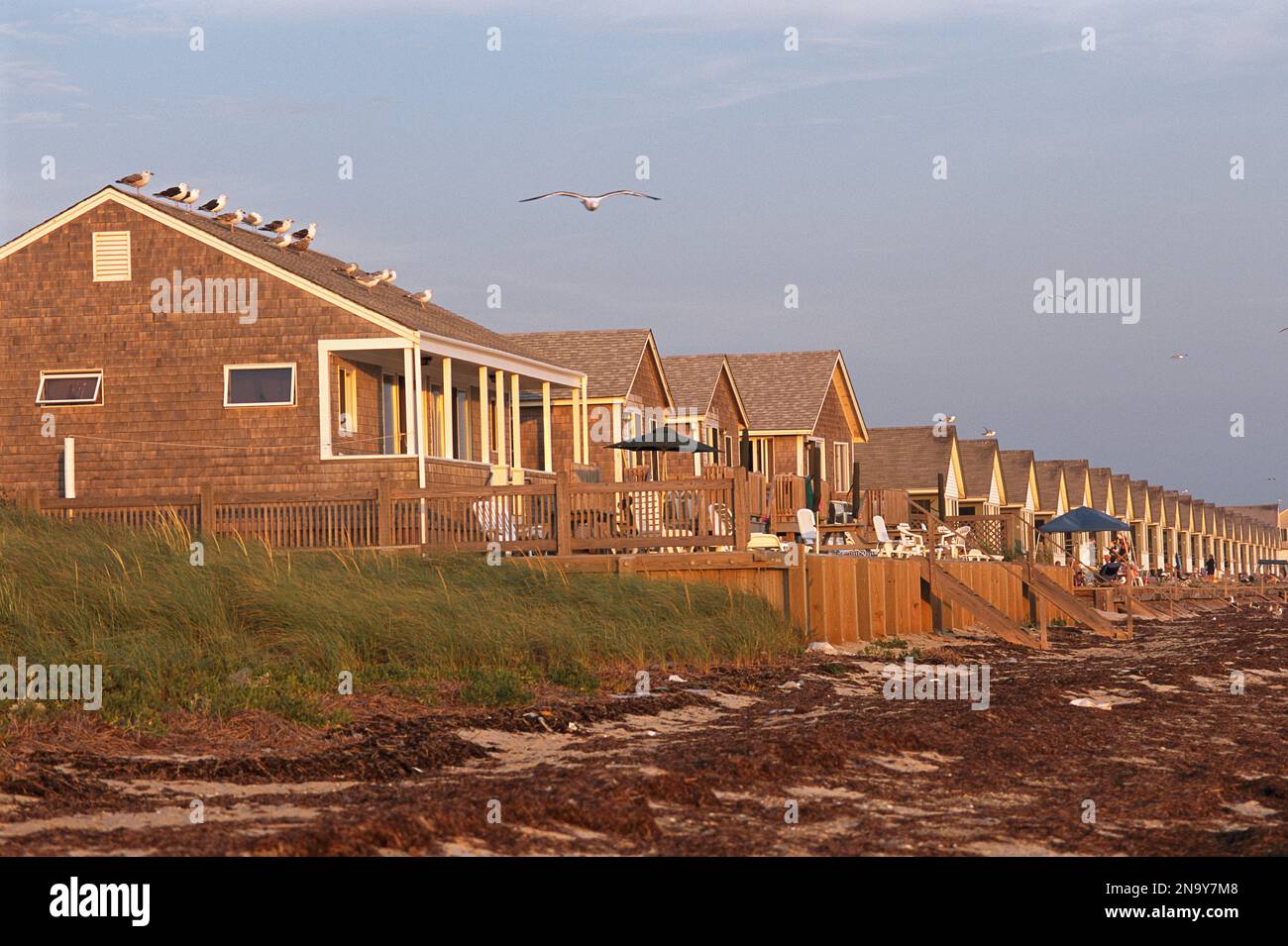 A row of rental cottages on a seaweed strewn beach.; Truro, Cape Cod, Massachusetts. Stock Photo
