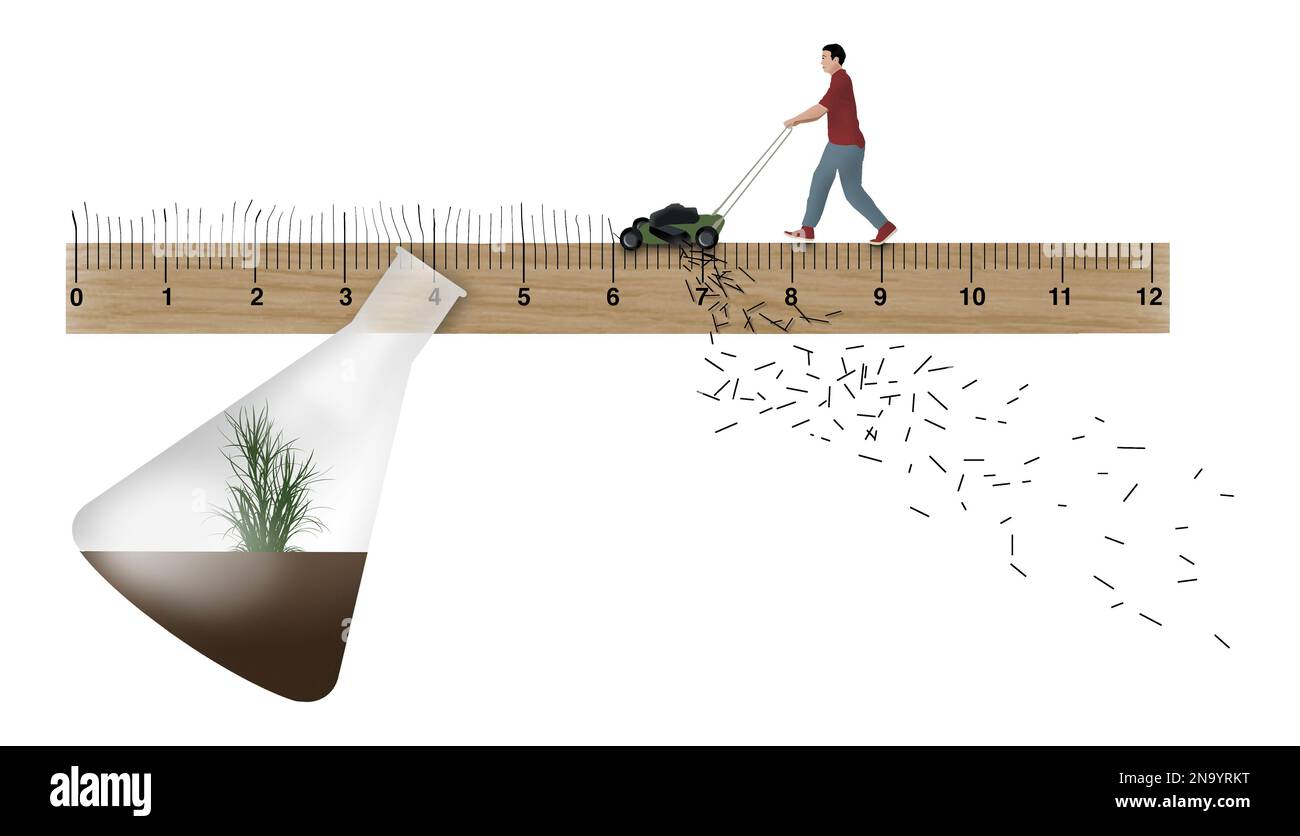 A man mows the lines off a ruler in an illustration about testing, measuring and other agronomy testing for better lawn science. This is a 3-d illustr Stock Photo