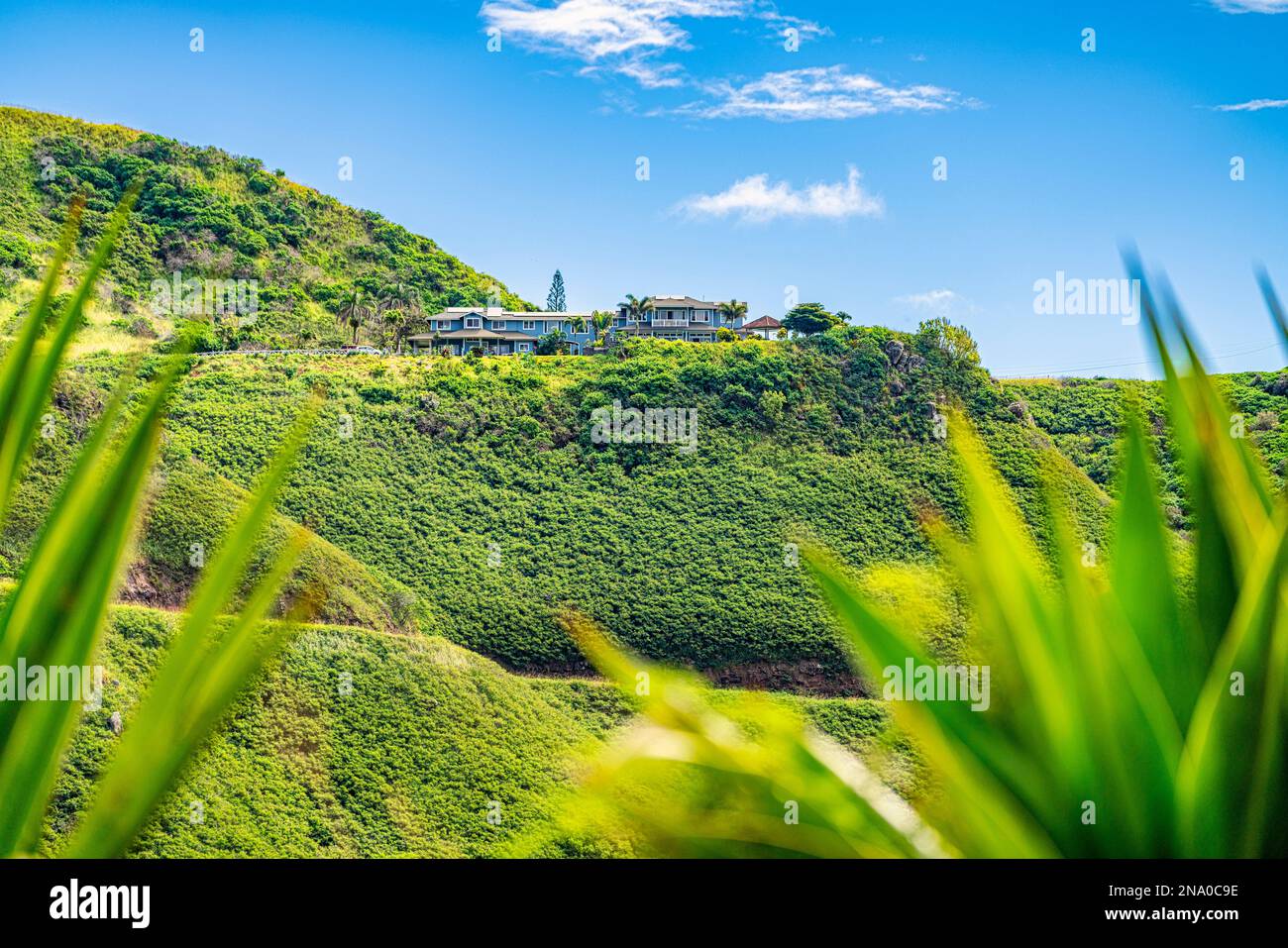 Art gallery surrounded by lush green vegetation in Kahakuloa on the island on Maui, Hawaii, USA; Kakakuloa, Maui, Hawaii, United States of America Stock Photo